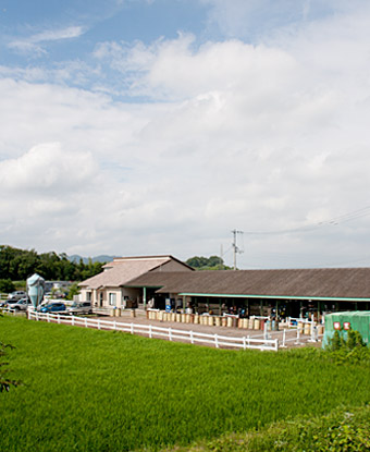 乗馬クラブ スタリオンステーブル 施設風景