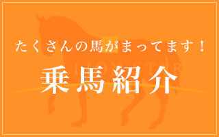 乗馬紹介｜乗馬クラブ スタリオンステーブル【四国 香川県】