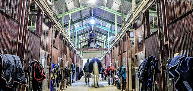 乗馬クラブ スタリオンステーブル【四国 香川県】