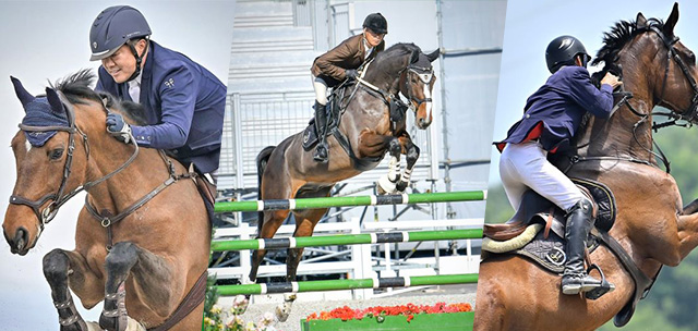 【乗馬チケット】乗馬倶楽部スタリオンステーブル 乗馬クラブ スタリオンステーブル【四国 香川県】