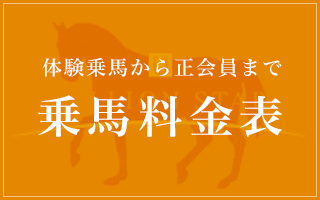 【乗馬チケット】乗馬倶楽部スタリオンステーブル 乗馬クラブ スタリオンステーブル【四国 香川県】