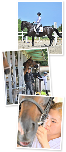 体験乗馬｜乗馬クラブ スタリオンステーブル【四国 香川県】