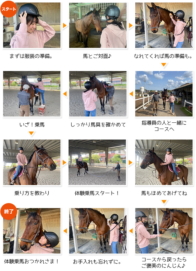 【乗馬チケット】乗馬倶楽部スタリオンステーブル 体験乗馬｜乗馬クラブ スタリオンステーブル【四国 香川県】