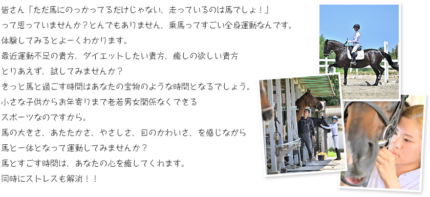 皆さん「ただ馬にのっかってるだけじゃない、走っているのは馬でしょ！」って思っていませんか？とんでもありません、乗馬ってすごい全身運動なんです。体験してみるとよーくわかります。最近運動不足の貴方、ダイエットしたい貴方、癒しの欲しい貴方とりあえず、試してみませんか？きっと馬と過ごす時間はあなたの宝物のような時間となるでしょう。小さな子供からお年寄りまで老若男女関係なくできるスポーツなのですから。馬の大きさ、あたたかさ、やさしさ、目のかわいさ、を感じながら馬と一体となって運動してみませんか？馬とすごす時間は、あなたの心を癒してくれます。同時にストレスも解消！！