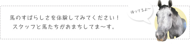 馬のすばらしさを体験してみてください！スタッフと馬たちがおまちしてま～す。