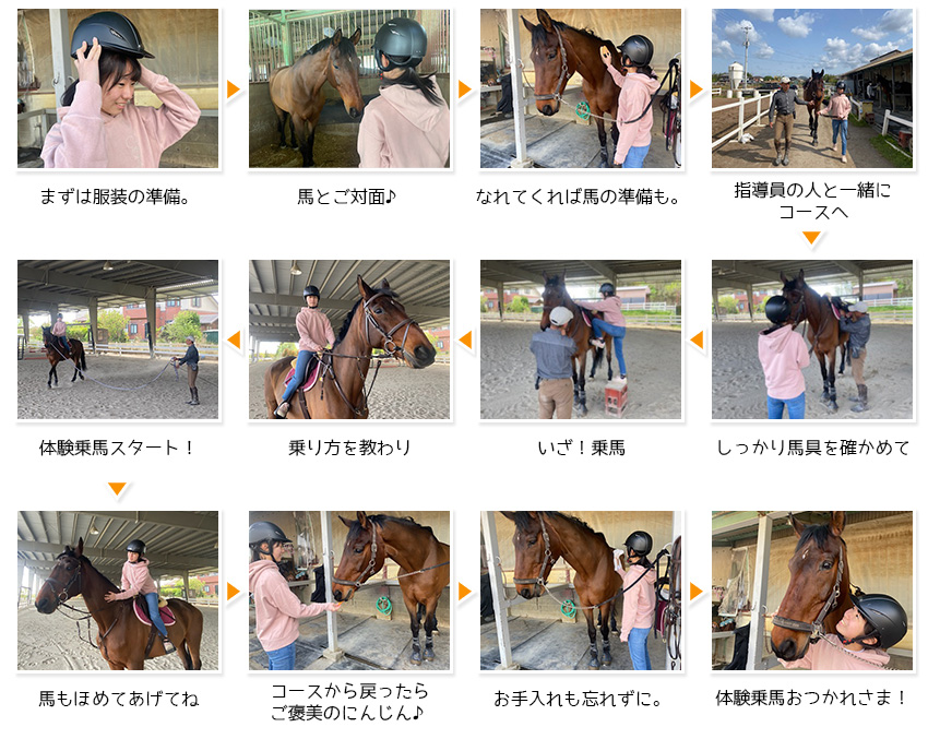 体験乗馬ステップ！　まずは服装の準備。　馬とご対面♪　なれてくれば馬の準備も。　指導員の人と一緒にコースへ　しっかり馬具を確かめて　イザ！乗馬　乗り方を教わり　体験乗馬スタート！　馬もほめてあげてね！　コースから戻ったらご褒美のにんじん♪　お手入れも忘れずに。　体験乗馬おつかれさま！